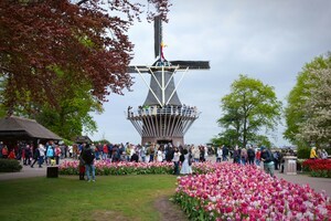 Keukenhof