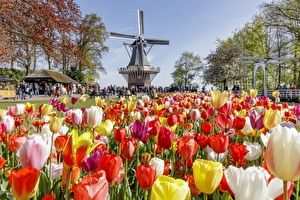 Keukenhof