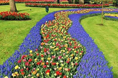 De Keukenhof