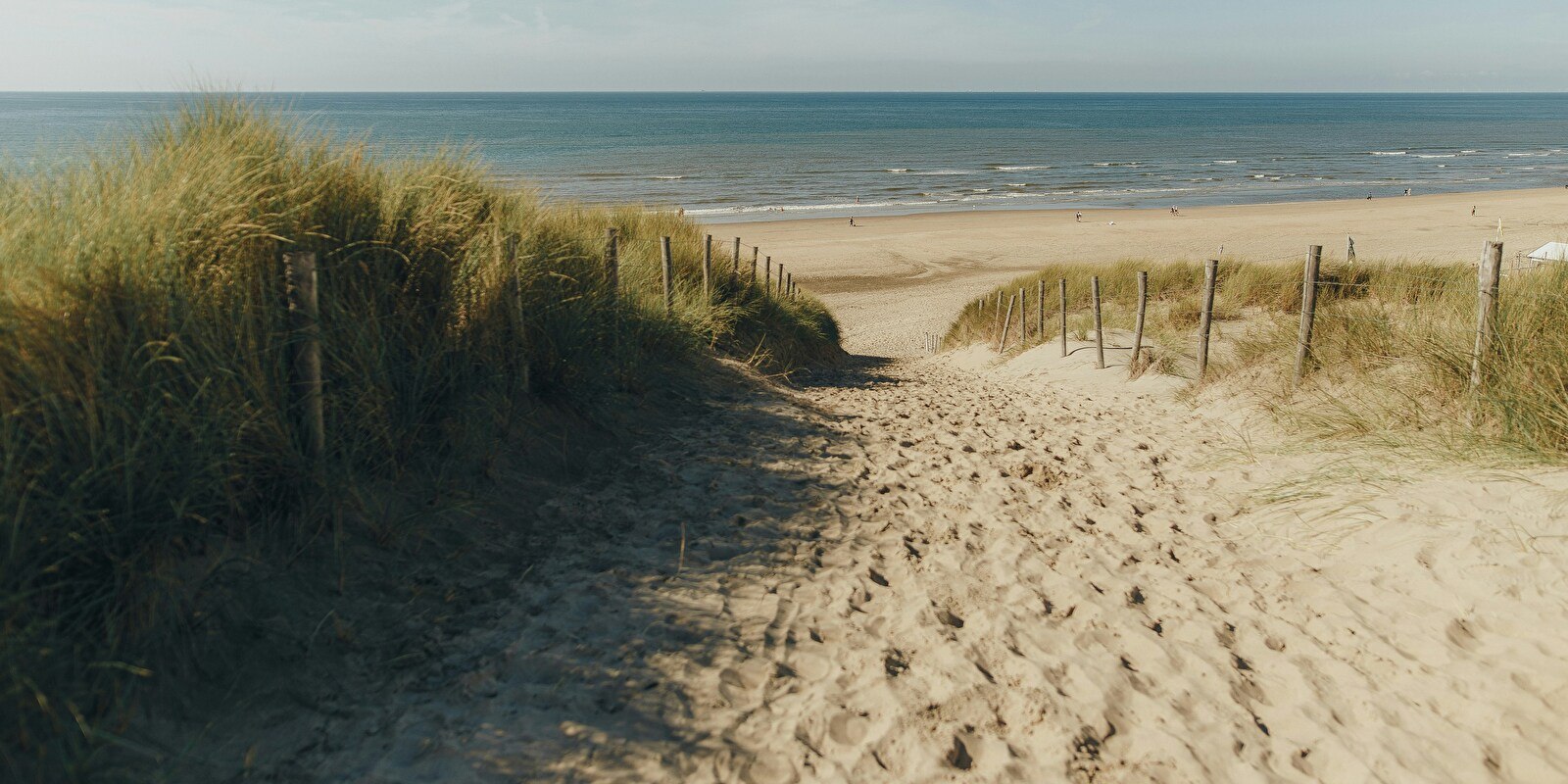 Discover the best of city and coast