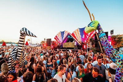 Events in Haarlem