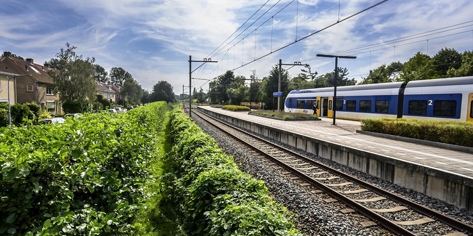 Jouw vertrekpunt om Haarlem en omgeving te ontdekken